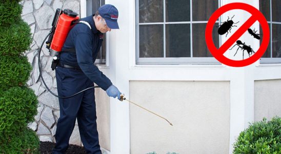 Poligon Dezenfeksiyon böcek ilaçlama ve haşere kontrolü — ilaclama-tr.com